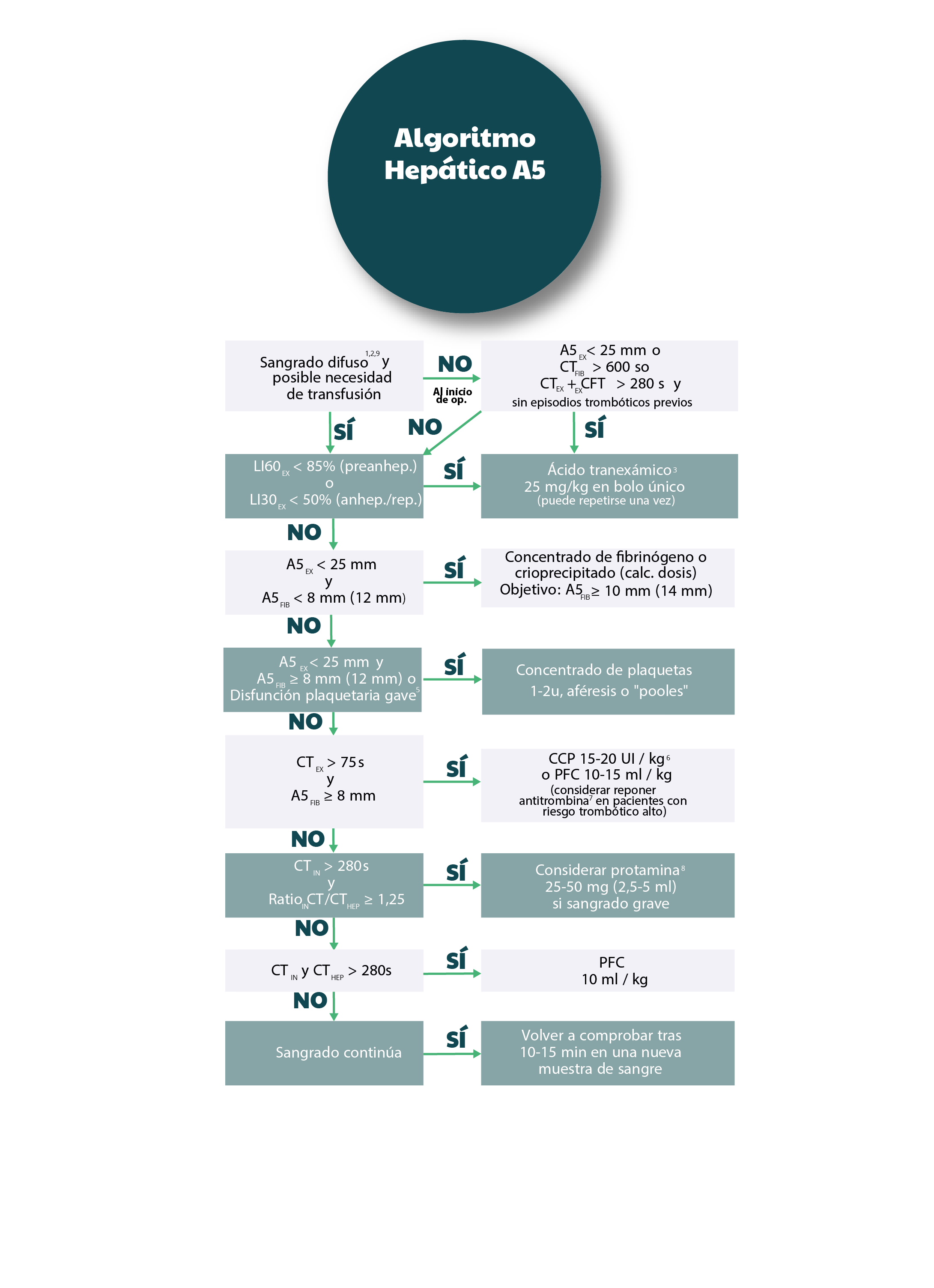 ROTEM - Rotational Thromboelastometry | Prueba Viscoelástica Dinámica