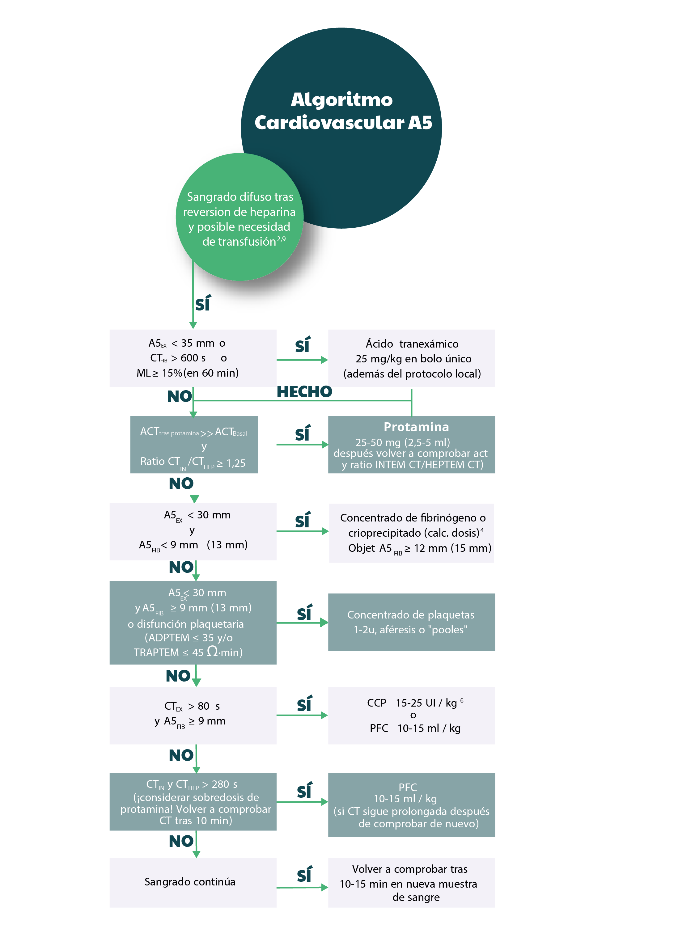 ROTEM - Rotational Thromboelastometry | Prueba Viscoelástica Dinámica