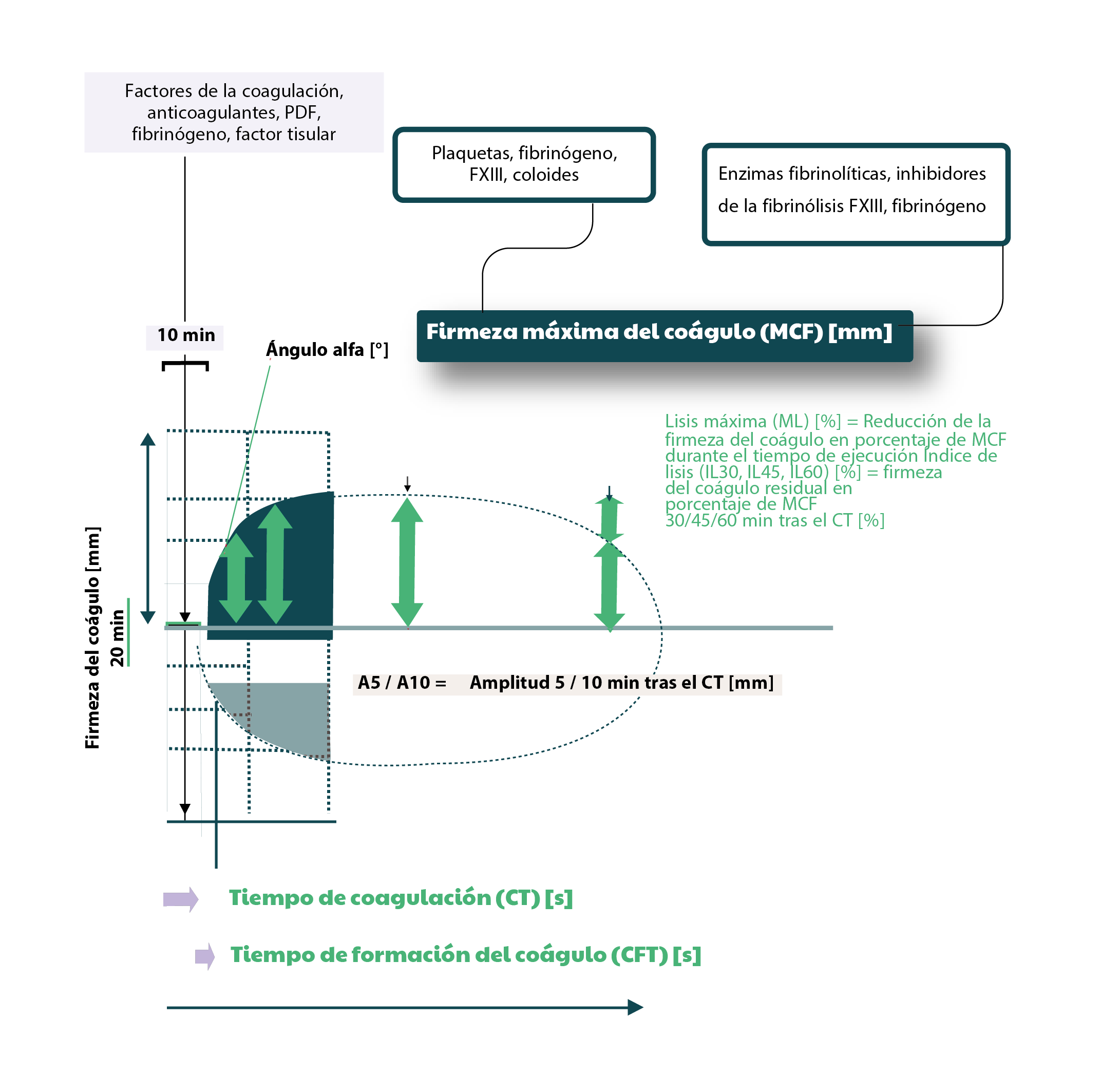 ROTEM - Rotational Thromboelastometry | Prueba Viscoelástica Dinámica